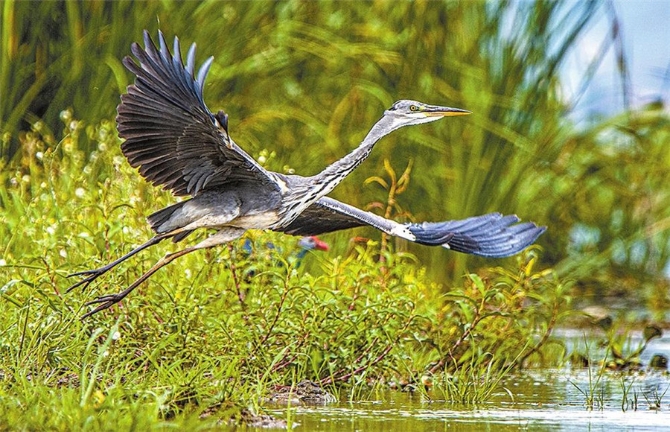 00304213567_583eaf8b 00304213567_583eaf8b