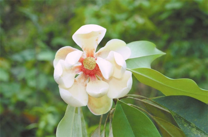 00304213601_ef3b8be7 00304213601_ef3b8be7