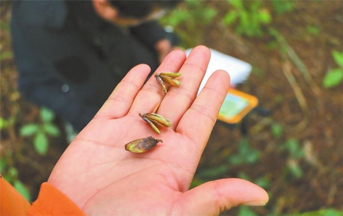 00304213602_f4bd4aee 00304213602_f4bd4aee