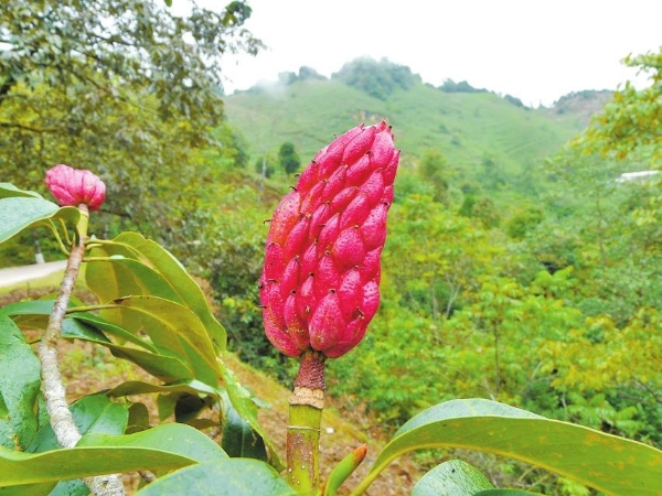 b014d34c-f351-4c50-b8a8-4dd063013420