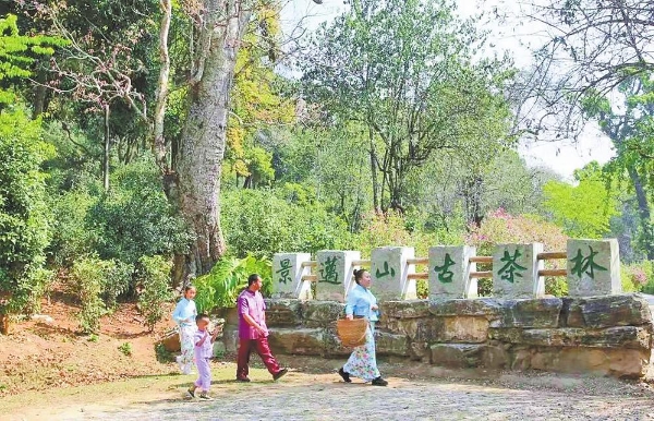 7c9662d6-d4ff-4056-b4e4-8ed56deaec3e