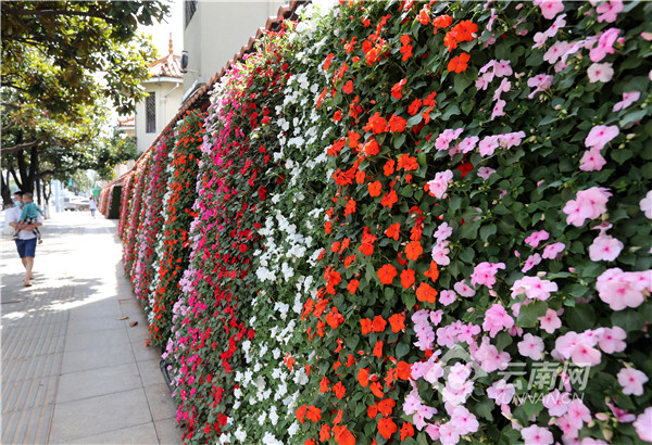 00304216288_51352960