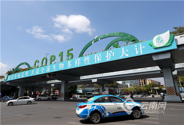 00304216283_88029222