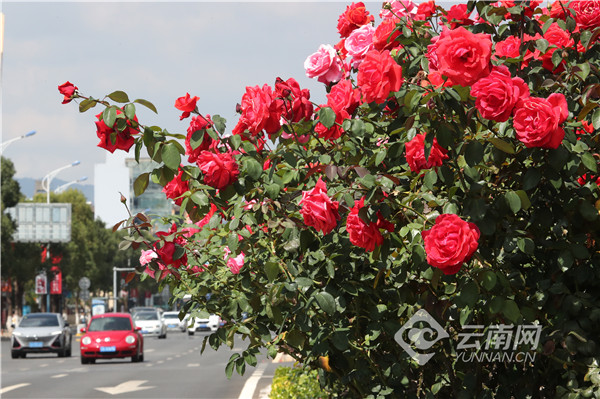 00304216281_b51a8490