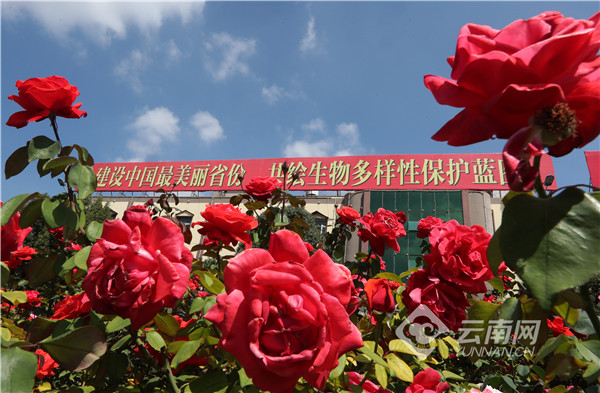 00304216280_4c6684ea