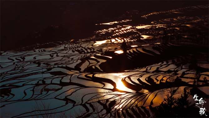 4 我們的田野·哈尼梯田 4 我們的田野·哈尼梯田