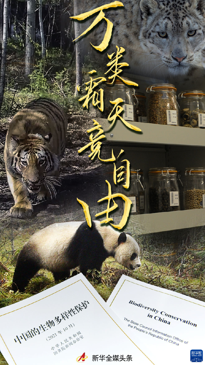 1211398970_16339148224711n 1211398970_16339148224711n