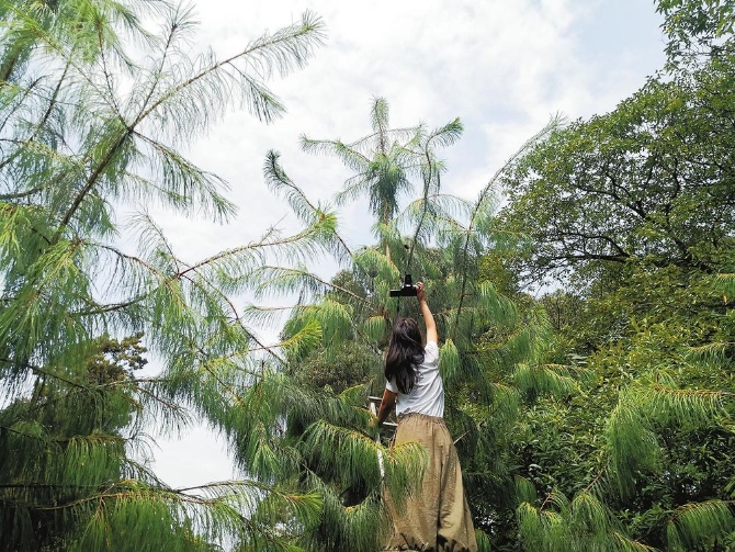 7993af58-f7eb-411a-a55e-b3a78f1102cf 7993af58-f7eb-411a-a55e-b3a78f1102cf