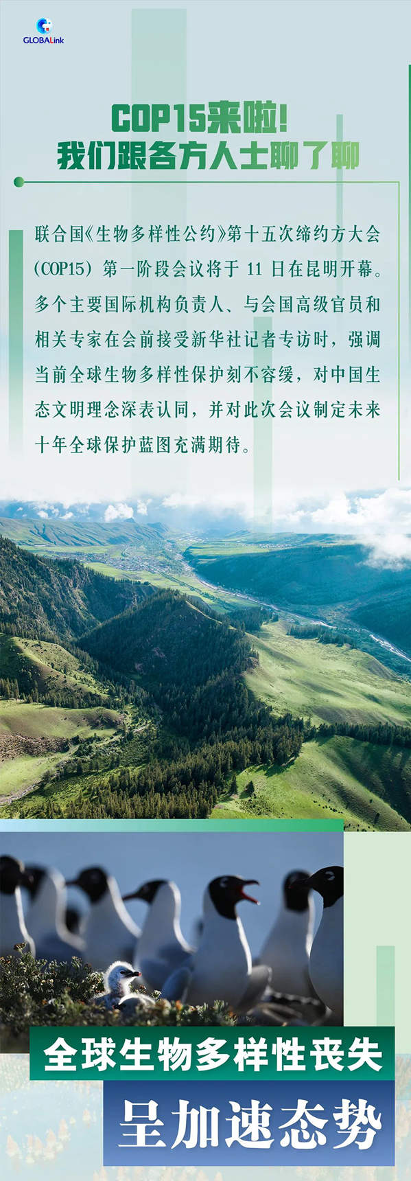 code_ynrbf874e1ae-1393-4a08-bd3f-2c5a76eceaad code_ynrbf874e1ae-1393-4a08-bd3f-2c5a76eceaad