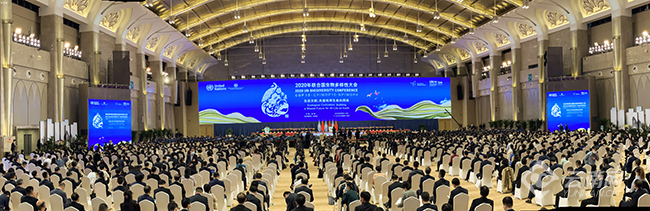 00304223245_d1b3f4a1 00304223245_d1b3f4a1