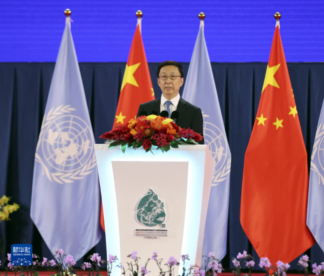 00304223242_b217380e 00304223242_b217380e