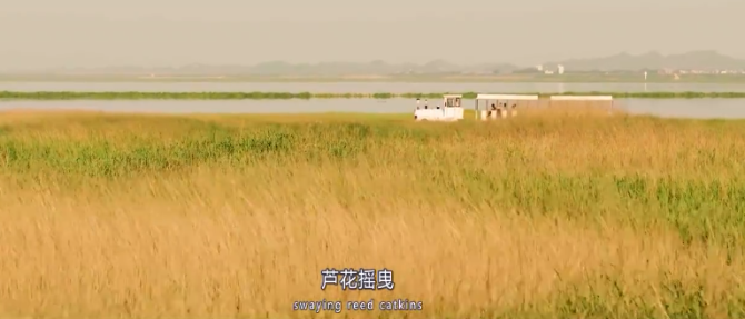 微信截圖_20211012185730