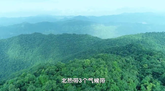 微信截圖_20211012202724