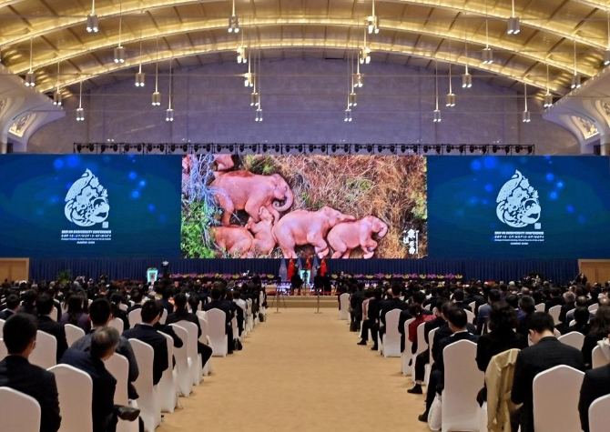 1127947068_16339843653991n 1127947068_16339843653991n