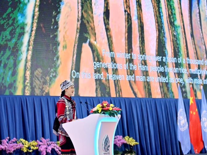 1127947068_16339843863191n 1127947068_16339843863191n