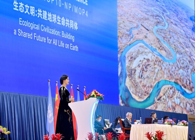 1127947068_16339843975771n 1127947068_16339843975771n