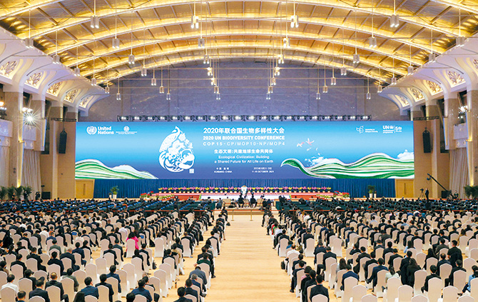 XxjpbeC007151_PEPFN0A001