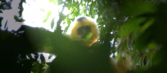 微信截圖_20211013174955