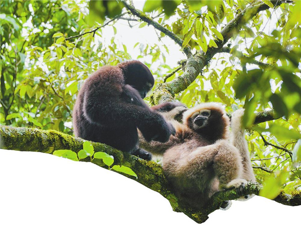 88acb515-9769-4fd8-a421-3cccffd4d018 88acb515-9769-4fd8-a421-3cccffd4d018