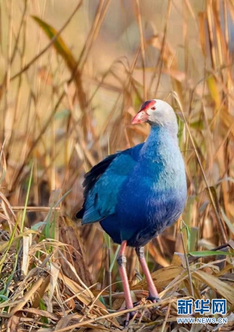 1310251075_16344871470521n