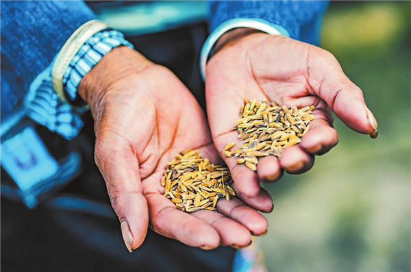 f1150fe1-a061-44ff-8fdc-1bf864b31ea6 f1150fe1-a061-44ff-8fdc-1bf864b31ea6