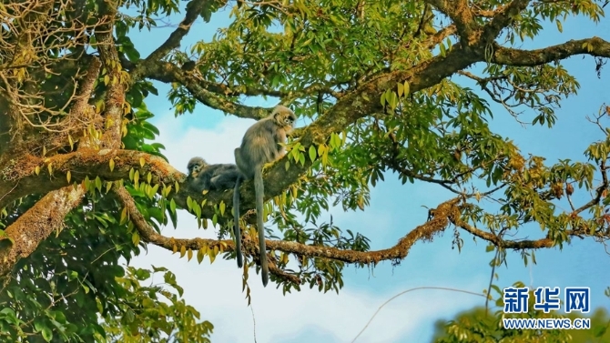 1310254827_16346148517841n