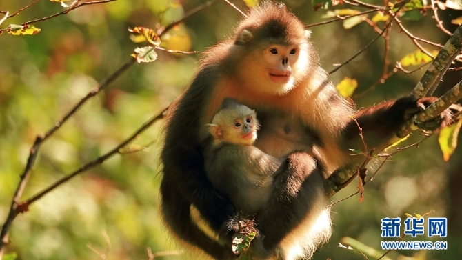 1310254827_16346148520821n