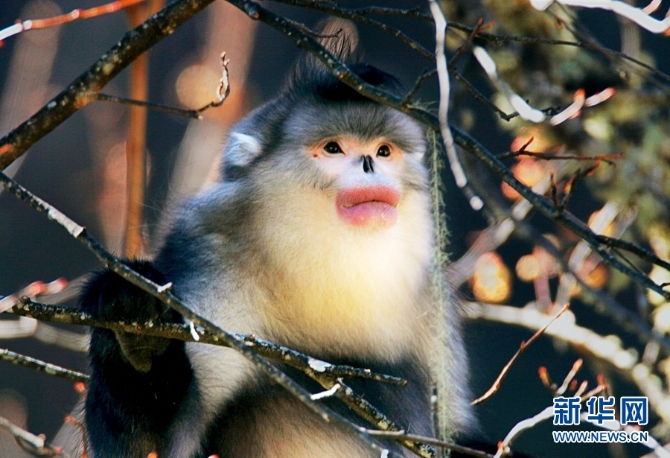 1310254827_16346148527531n