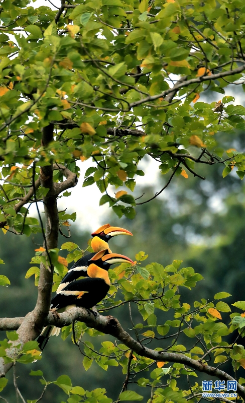 1310254827_16346148530951n