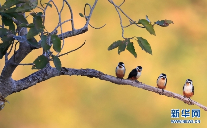 1310254827_16346148536921n