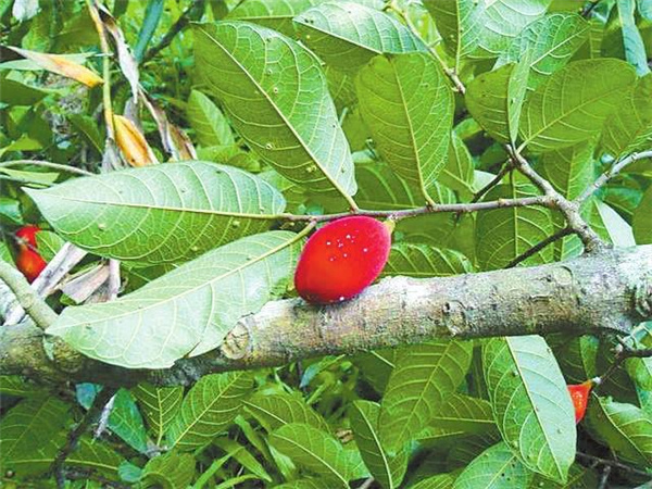 04151410-aac8-4aa6-ad69-bca88b72756c