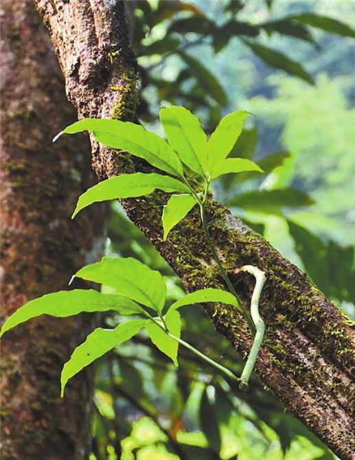 064f16f6-f567-4f8d-a4d2-e9fe7479b276