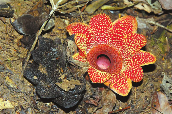 8bbea450-2516-4b60-81f2-ef7587efe25c