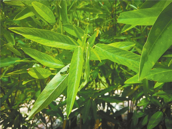 bdb836c0-db9e-4b9e-8be5-92512b7b44fa