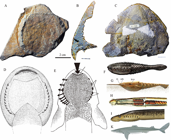 20211020143705KFU972 20211020143705KFU972