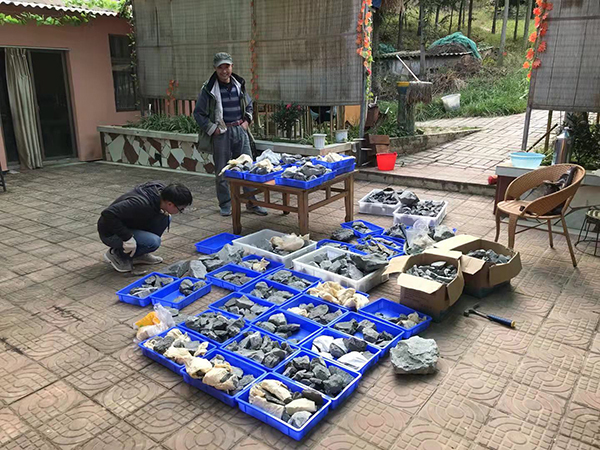 202110201437019LS4JJ 202110201437019LS4JJ