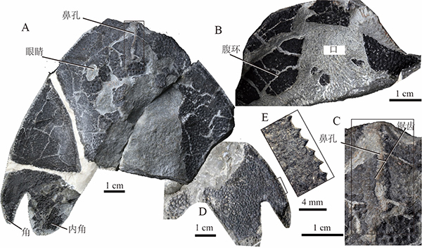 20211020143701K3GUJJ 20211020143701K3GUJJ