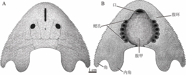 20211020143706SUBHH1 20211020143706SUBHH1
