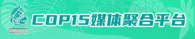 WYyPn756WA WYyPn756WA