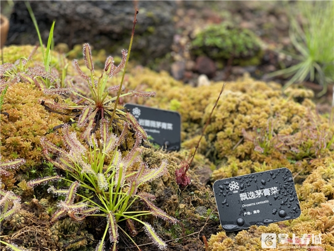 WfzzjGmrdB WfzzjGmrdB