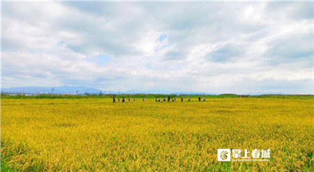 pEQBdAzYNF pEQBdAzYNF