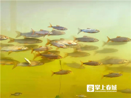 aQzim5J4KT aQzim5J4KT