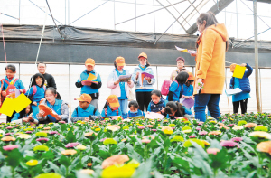 89851635007373113 89851635007373113