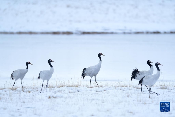 1127989011_16349962406591n