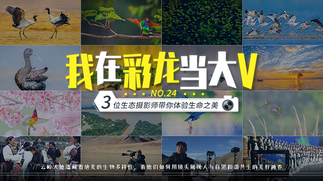 7b8b3cb9-3704-496e-a75d-cb6500140cc6 7b8b3cb9-3704-496e-a75d-cb6500140cc6