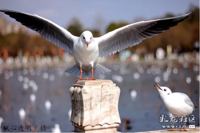 微信圖片_20211026122103