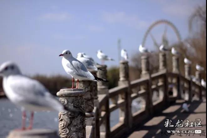 微信圖片_20211026122058