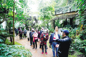 202110260553242112 202110260553242112