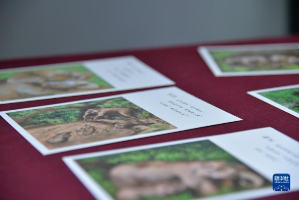 1310275733_16354215516941n_gaitubao_600x401 1310275733_16354215516941n_gaitubao_600x401