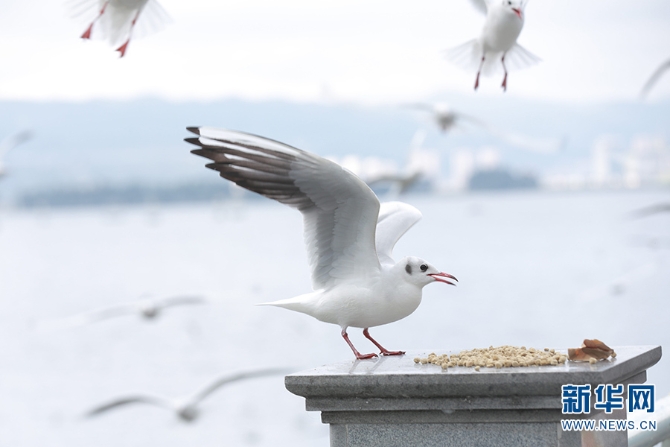 1310279815_16355960517901n 1310279815_16355960517901n